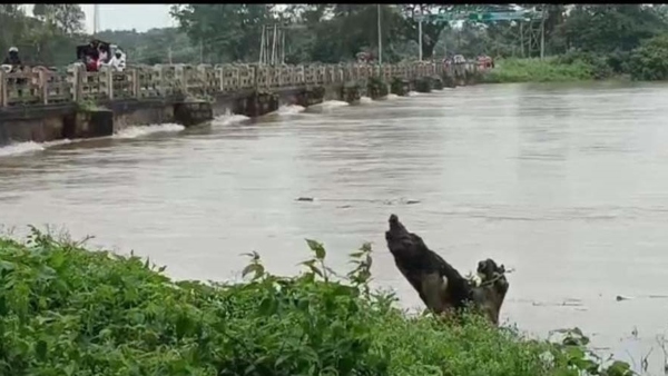 Heavy Outflow from KRS Kabini Dams Raises Flood Fears in Kaveri River