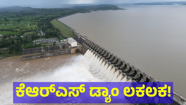 Monsoon Rain Is Helping To Fill The Karnataka Dams Very Fast