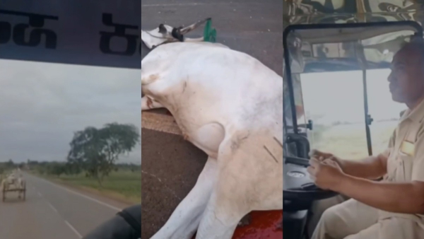 NWKRTC Bus Hits on Chakkadi at Kusugal Demand Rs 25 Lakh Compensation Protest warns