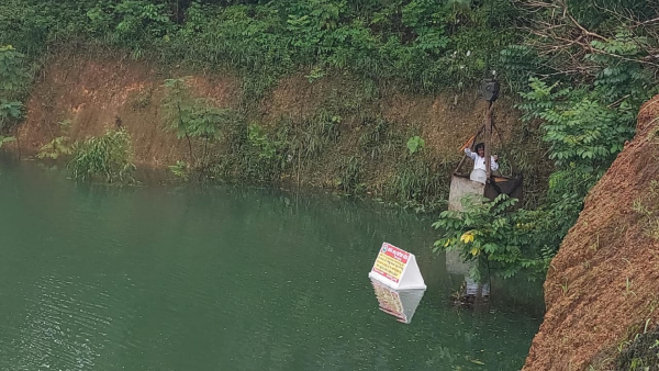 An attractive Color Black Frog Was Found In Kundapura