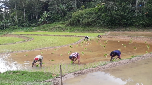 Do You Know How The Life Of The People Of Kodagu Is During The Rainy Season Do You Know How The Life Of The People Of Kodagu Is During The Rainy Season