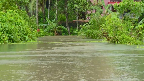 Monsoon Rain Kodagu Receives 46 MM Rainfall In Last 24 Hours