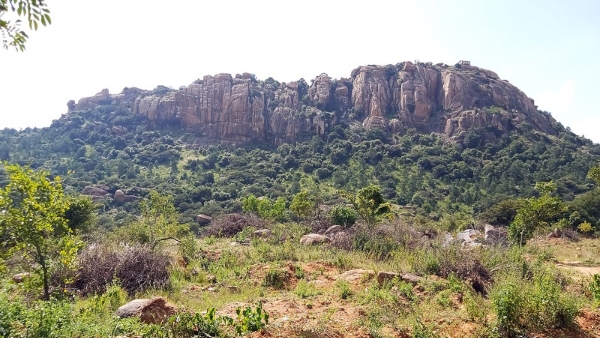 What Is The speciality Of Mandya Haddinakallu Anjaneya Temple