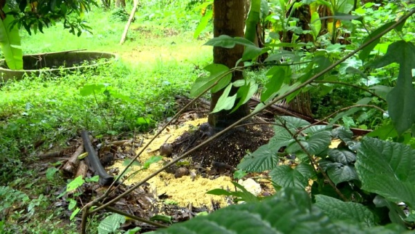 Locals Protest By Blocking The Road Of Mangaluru International Airport
