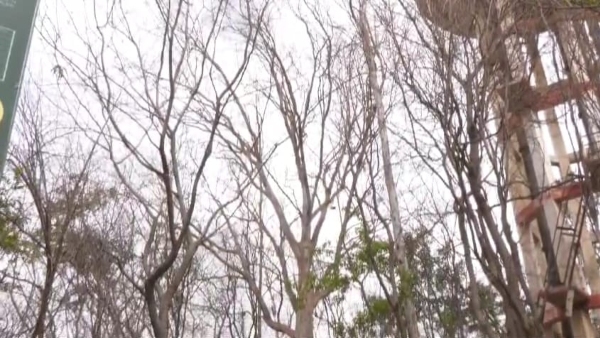 Maradigudda s beauty is being destroyed due to negligence of authorities