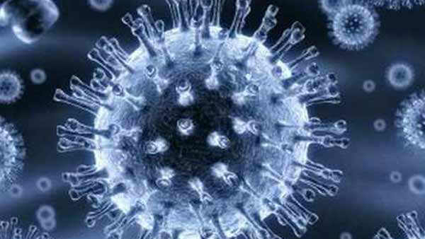 Nipah virus in Kerala Karnataka s Health Department has issued a travel advisory