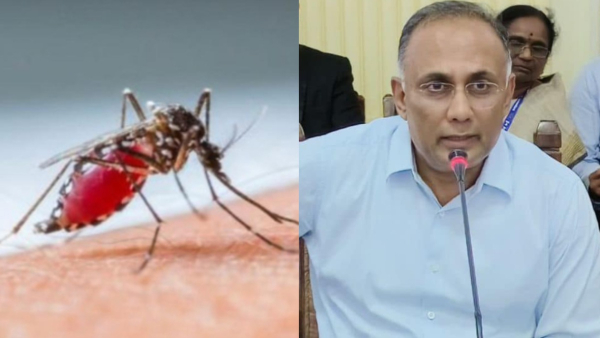 Over 7 000 dengue cases reported in Karnataka this year Check district wise data