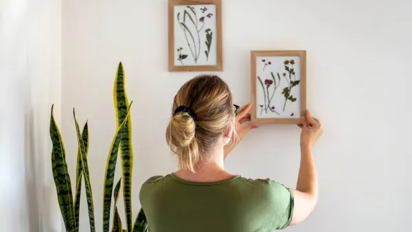 vastu tips paintings that attract luck and prosperity to your home in kannada