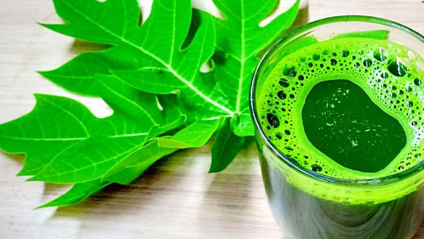 Home remedies to control dengue fever