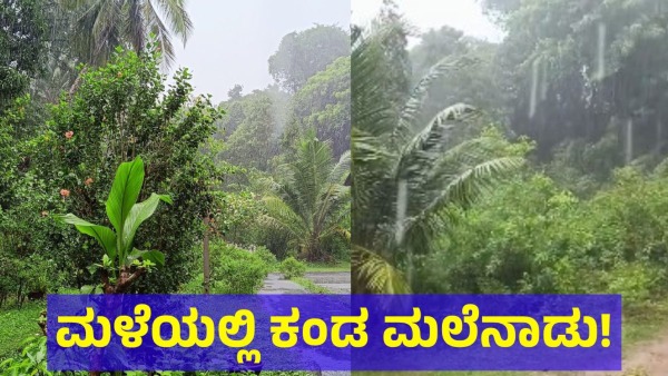 Monsoon Rain Created Heaven In Hill Region Of Karnataka State And Here Are The Scenario