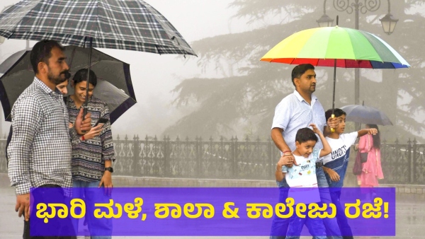 Schools In These Districts Will Be Closed On 31st Of July 2024 After Heavy Rain Alert