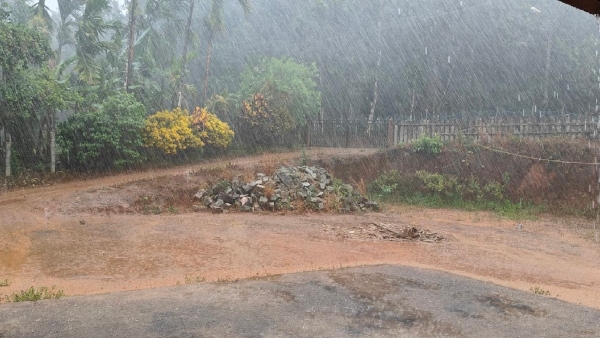 Less Rain Fall In Kodagu District In 24 Hours
