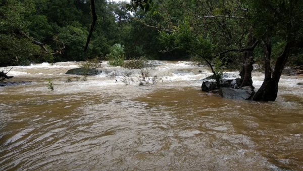 Kodagu Record 80 MM Rain Fall In Past 24 Hours