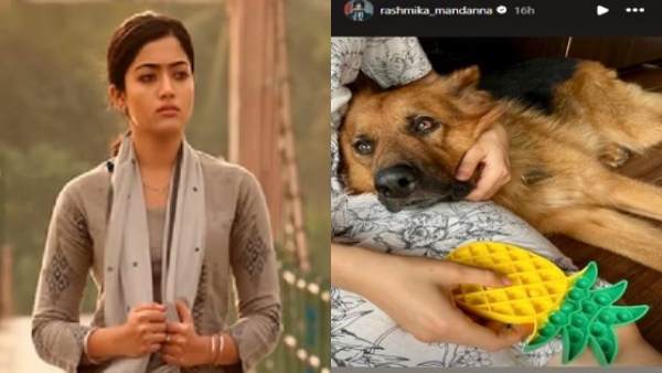 Actress Rashmika Mandanna Mourns The Demise Of Her Pet Dog Maxi