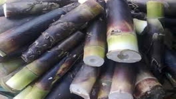 What Are The Special Food In Kodagu District During Monsoon