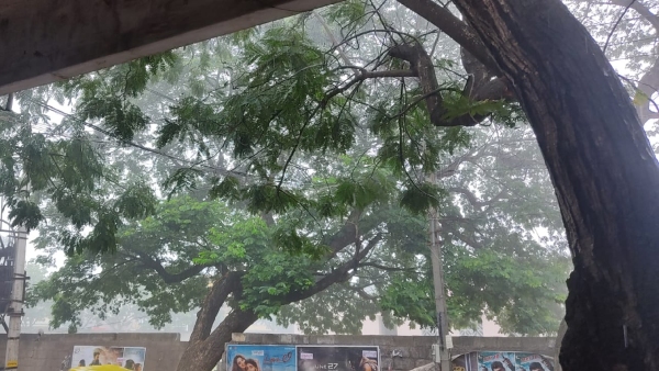 Karnataka Rain Heavy Rain Continues In Davangere District