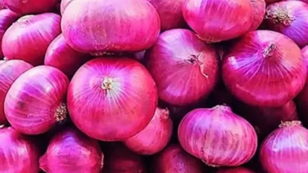 How to store onions to keep them fresh in kannada