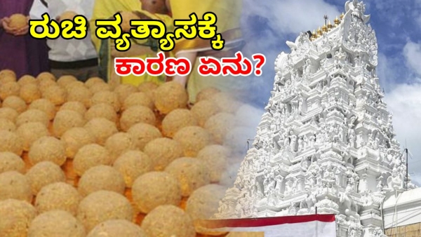 TTD Focuses on Improving Quality of Tirumala Laddu Prasad Amid Devotee Complaints