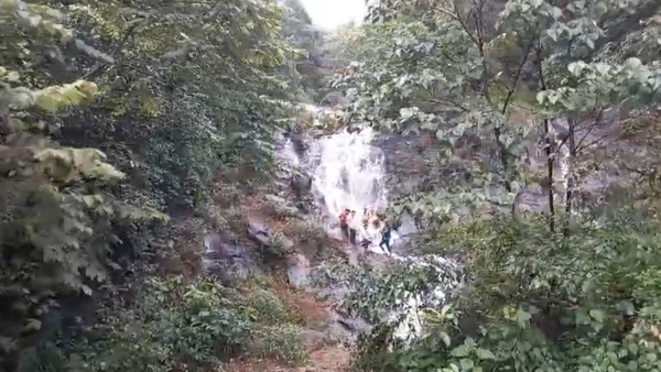 Tourist Misbehaving At Chikkamagaluru District Mudigere Taluk Charmadi Ghat Tourist Misbehaving At Chikkamagaluru District Mudigere Taluk Charmadi Ghat