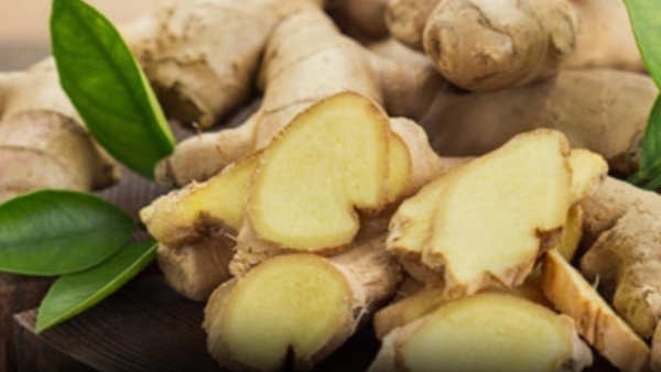 Discover the Health Benefits of Dry Ginger and Honey Boost Immunity and More