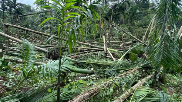 Woman Dies Due To Land Collapsed At Udupi District Kollur