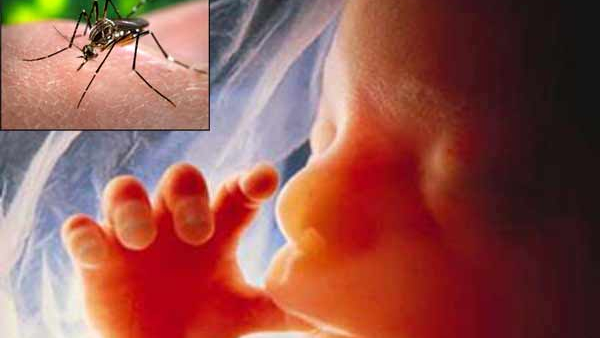 karnataka health ministry issues advisory about zika virus