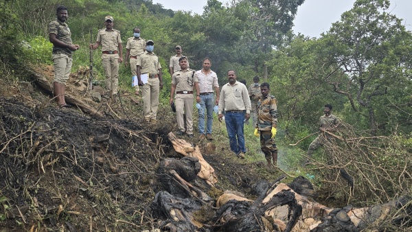 Another one wild elephant found dead in BRT Tiger Reserve on August 31
