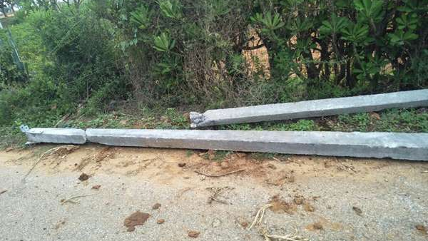 More Than 20 Power Poles Toppled In Bengaluru