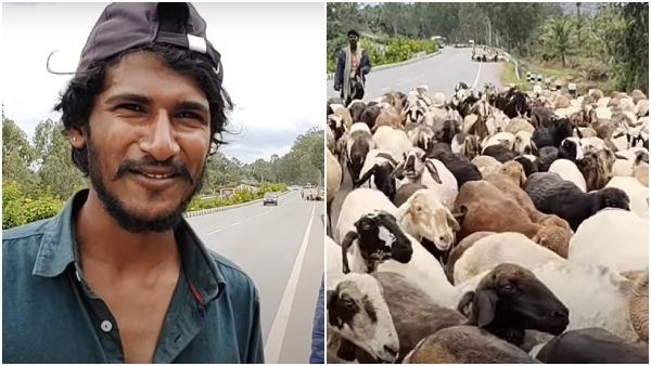 Diploma Holder Turns Shepherd Earns Over 20 Lakhs Annually Diploma Holder Turns Shepherd Earns Over 20 Lakhs Annually