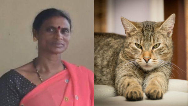 A Woman Dies After Being Bitten By A Pet Cat At Shivamogga A Woman Dies After Being Bitten By A Pet Cat At Shivamogga