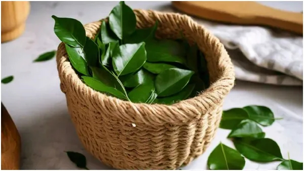 Clever ways to use curry leaves for kitchen cleaning in kannada