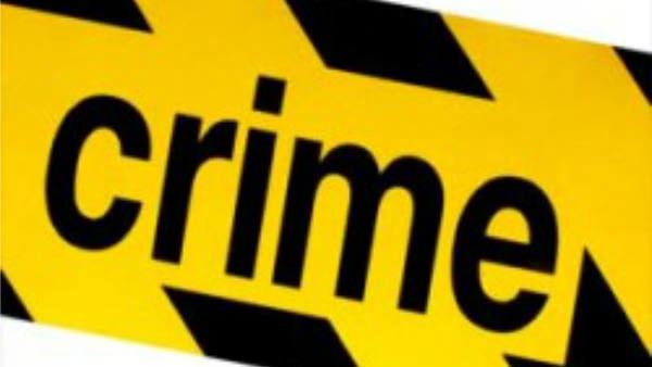 A Woman Who Was Walking In Bangalore Was Attacked By Stray Dogs