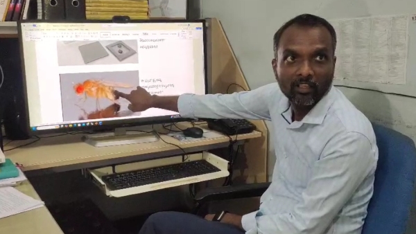 Dharwad Fruit Flies To Join ISRO s Gaganyaan Mission