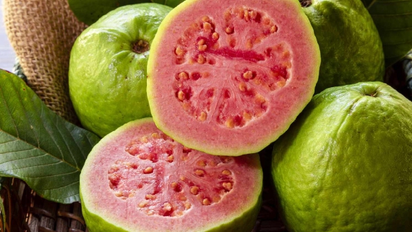 Amazing health benefits of guava fruit for pregnant womens Amazing health benefits of guava fruit for pregnant womens