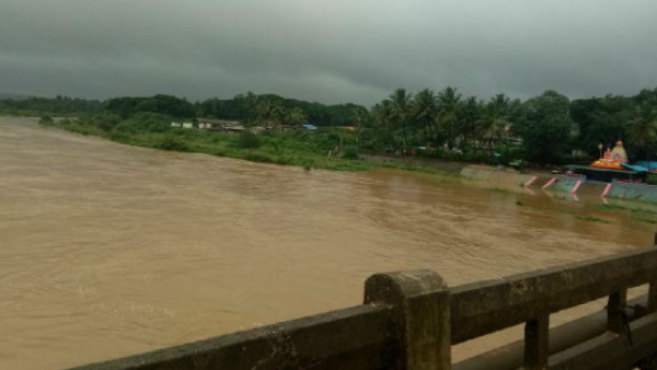 Heavy rains in hassan - crop destruction farmers panic