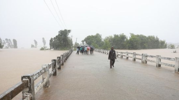 Heavy rains in hassan - crop destruction farmers panic