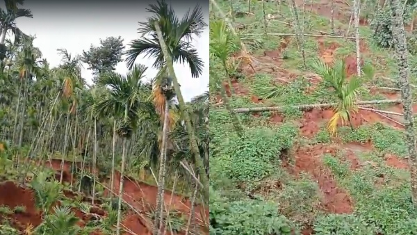 Heavy rain in Chikkamagaluru Land landslides- Farmers in trouble