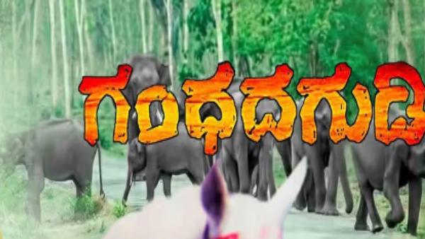 Why is the Kannada Film Industry is Not Growing What did historians says