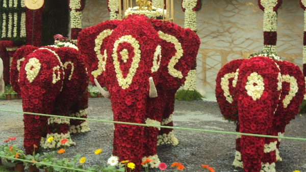 Lalbagh Flower Show in Bengaluru Date Time Ticket Price