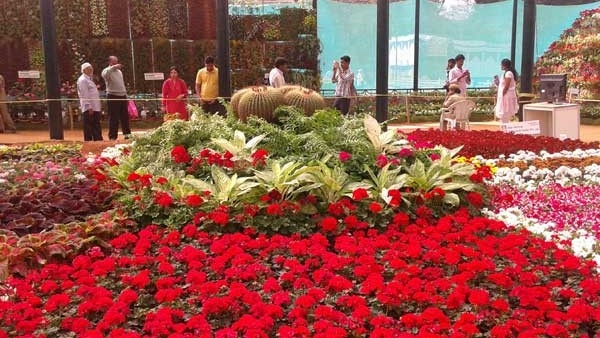 Lalbagh Flower Show in Bengaluru Date Time Ticket Price