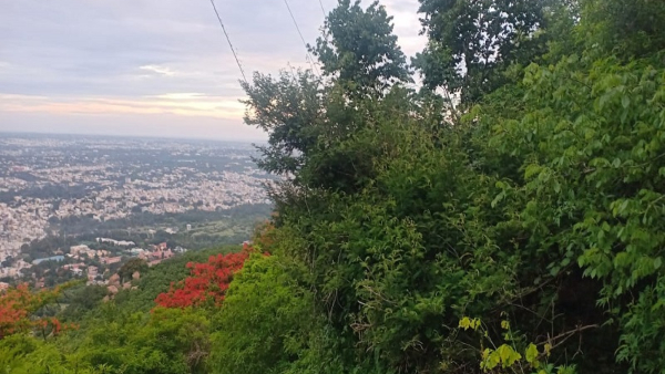 Travel News What Is The Benefit Of Climbing Mysuru Chamundi Hills Travel News What Is The Benefit Of Climbing Mysuru Chamundi Hills