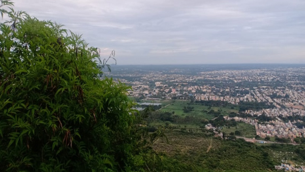 Travel News What Is The Benefit Of Climbing Mysuru Chamundi Hills Travel News What Is The Benefit Of Climbing Mysuru Chamundi Hills