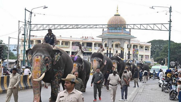 Mysuru Dasara 2024 How The Gajapade Training Will Be For Dussehra Jambusavari