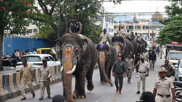 Mysuru Dasara 2024 How The Gajapade Training Will Be For Dussehra Jambusavari