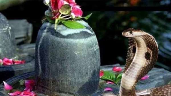 Nag Panchami 2024 Date Auspicious Time Offerings Mode of Worship in kannada