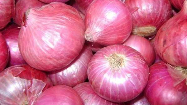 Onion Price Increase In Bengaluru Markets