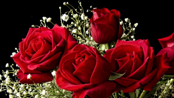 Red Rose Pakoda Recipe Know How to Make Kempu Gulabi Pakoda at Home in Kannada