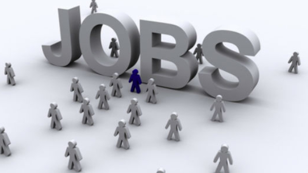 1250 Senior Citizens did Registration for Jobs in at Jobs 60plus Annual Fair Know details