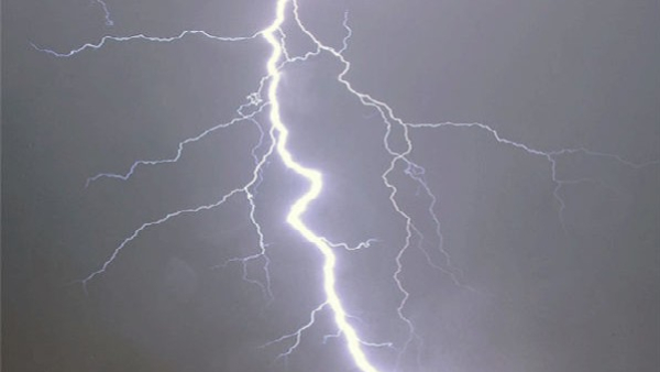 Heavy Rain More than 100 sheep death due to lightning in Jajur