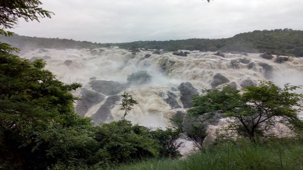 What Is The Speciality Of Mandya Shimsha Waterfalls